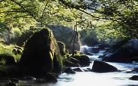 Le Pays Val de Creuse - Val d'Anglin