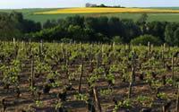 Le Pays d'Issoudun et de la Champagne Berrichonne