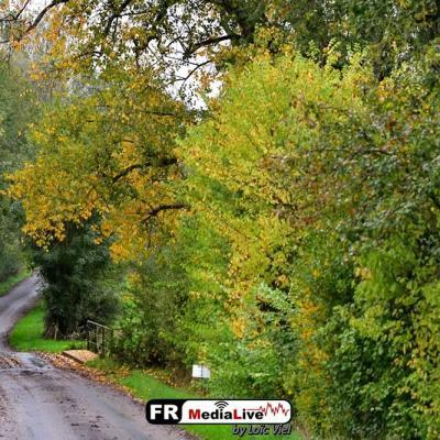 Rallye Indre 2019 60320855