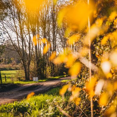 Rreconnaissances Rallye De Llindre 24 10
