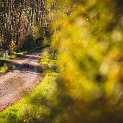 Rreconnaissances Rallye De Llindre 24 11